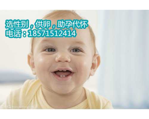 合法香港借腹生子中介|婴儿能用防晒霜吗
