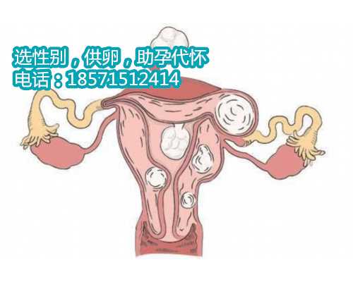 香港供卵试管可选性别-女性甲减跟长期生气有关系吗