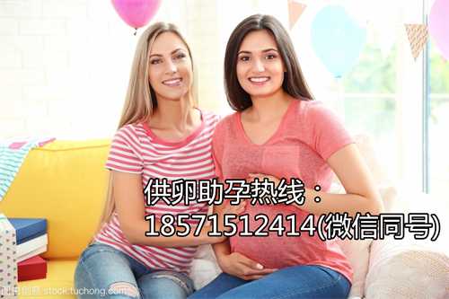 <b>香港机构代孕产子 2022年香港特别行政哪家医院有精子库可以供精？</b>
