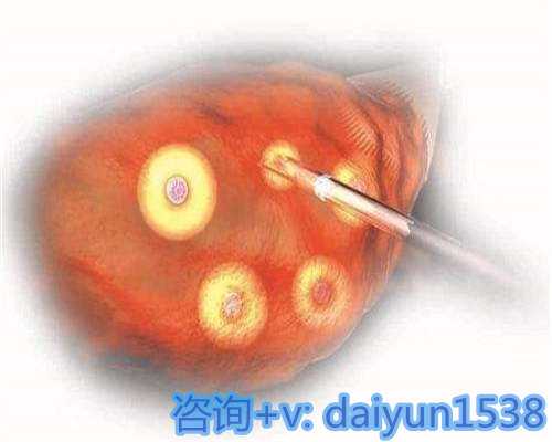 安徽有中介找代孕,做泰国试管婴儿一共有多少流程泰国试管婴儿都有哪些流程