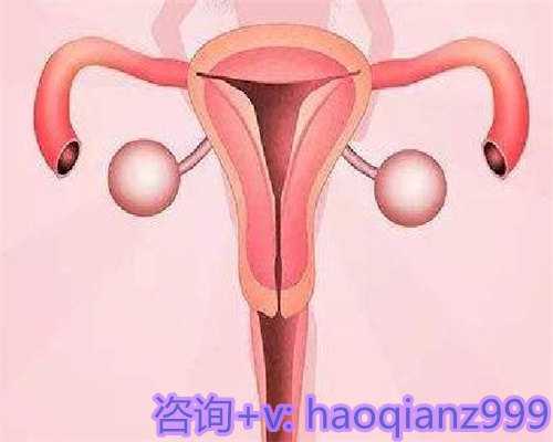 俄罗斯试管代孕的优势，导致子宫脱垂的原因有哪些