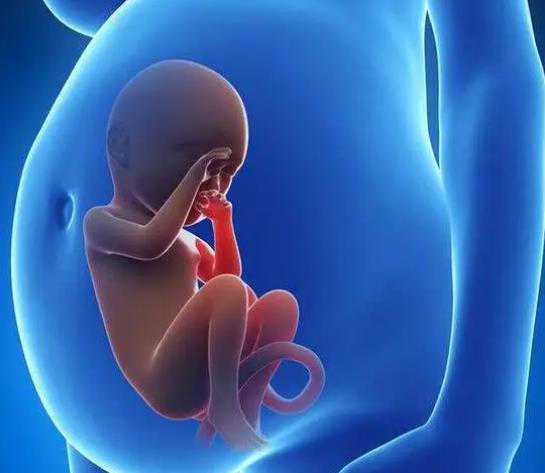 把握住最佳时机，探讨叶酸在特定时期的作用及最佳食用方式