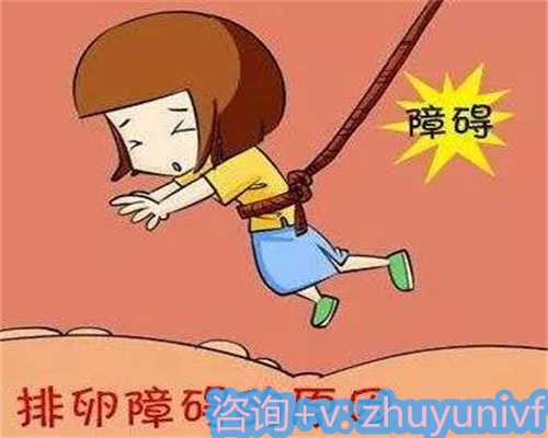 泰国代怀费用
泰国代怀公司
泰国代怀价格
泰国代怀生儿子
泰国代怀套餐
泰国代生价格
泰国代生套餐
泰国代生咨询
泰国代孕费用
泰国代孕机构
泰国供卵公司
泰国供卵价格
泰国供卵生儿子
泰国供卵套餐
