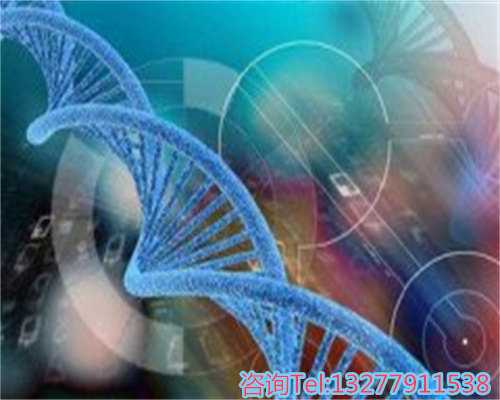 什么样的卵泡是优质的