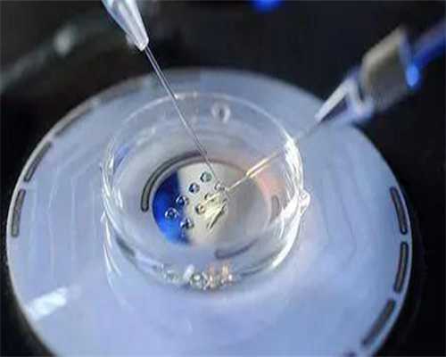 〔先心宝宝术后粘连〕,偏低是多囊可以试管吗-多囊卵巢卵泡质量不好做试管有