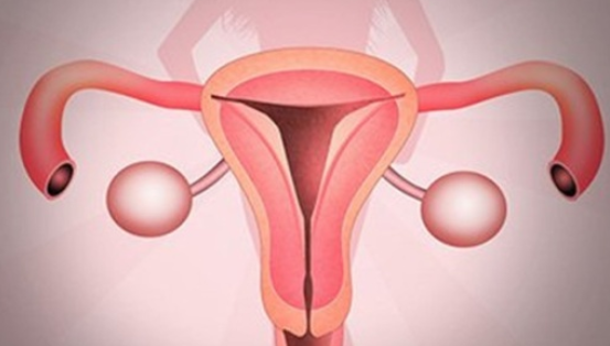 广东借卵的私立医院,分享泰国试管婴儿经验，来泰国能用到的APP