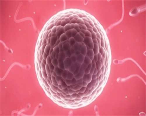 2026年单身去泰国助孕费用大概多少钱