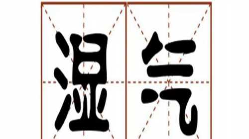 做泰国试管婴儿供卵-泰国试管婴儿供卵流程