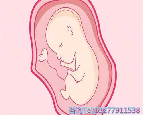 泰国代怀费用
泰国代怀公司
泰国代怀价格
泰国代怀生儿子
泰国代怀套餐
泰国代生价格
泰国代生套餐
泰国代生咨询
泰国代孕费用
泰国代孕机构
泰国供卵公司
泰国供卵价格
泰国供卵生儿子
泰国供卵套餐
